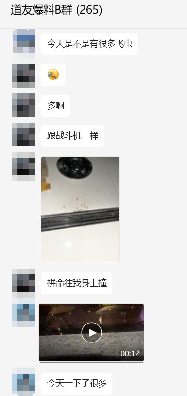 澳门新葡萄新京6663温州市中心一幕头皮发麻！(图3)